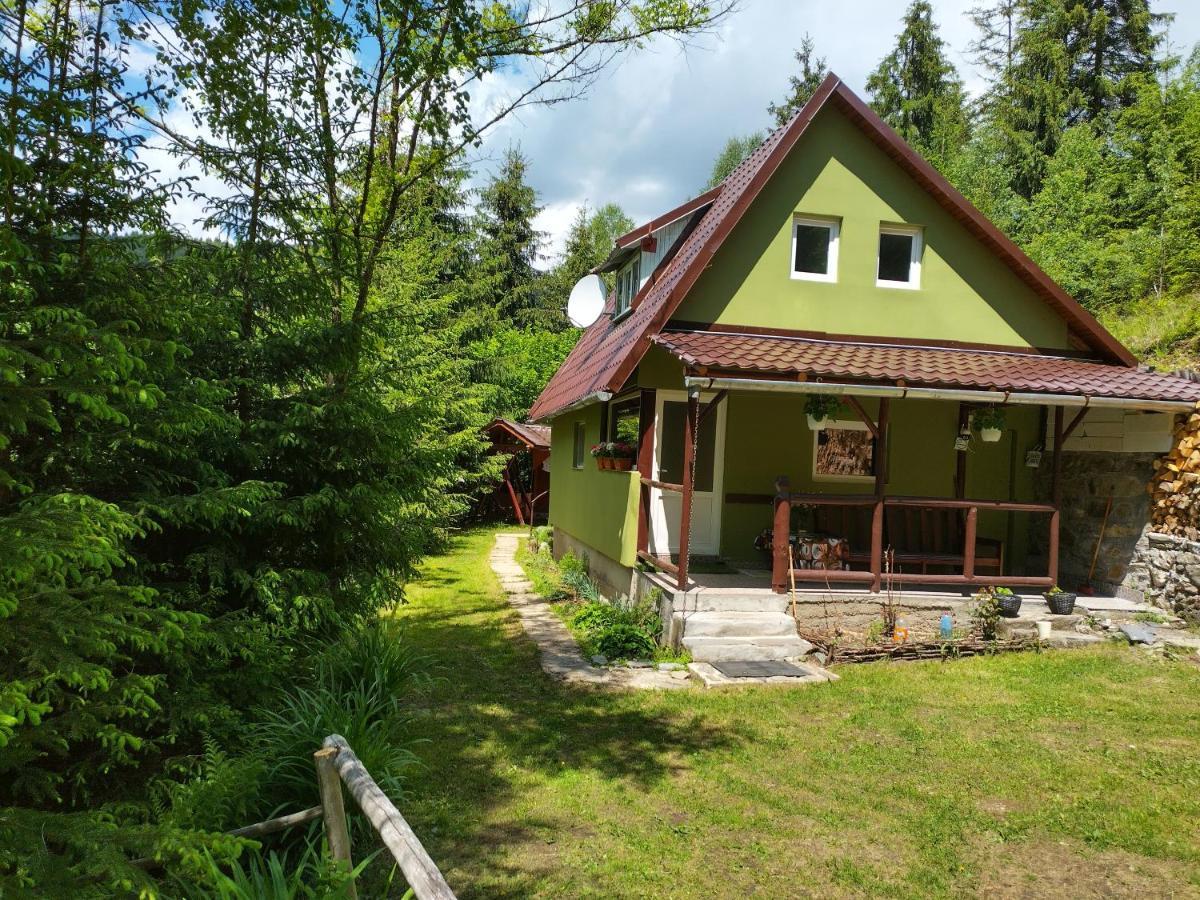 Green House Gheorgheni  Exterior foto